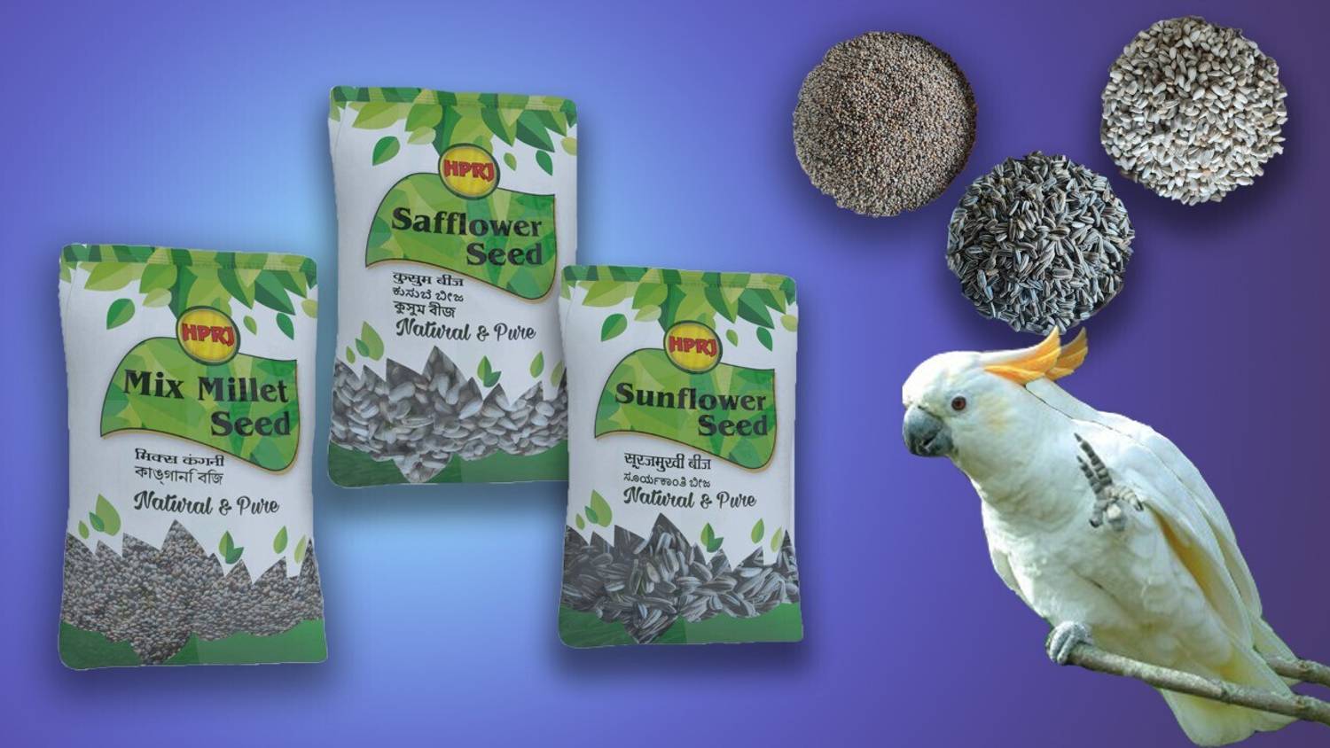 Birdie's Mix Millet, Sunflower Seed & Bird Seed with Safflower (Kardi Seeds/Kusum Dana) 2.75 kg (3x0.92 kg) Dry Adult, New Born, Young Bird Food