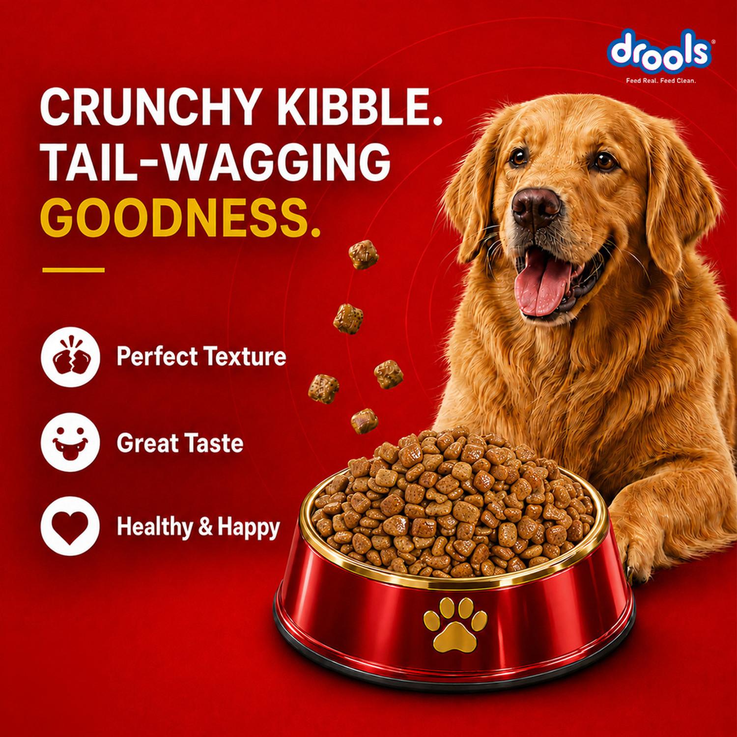 Image of Drools Turkey and Pumpkin 3.8 kg (2x1.9 kg) Dry Adult Dog Food