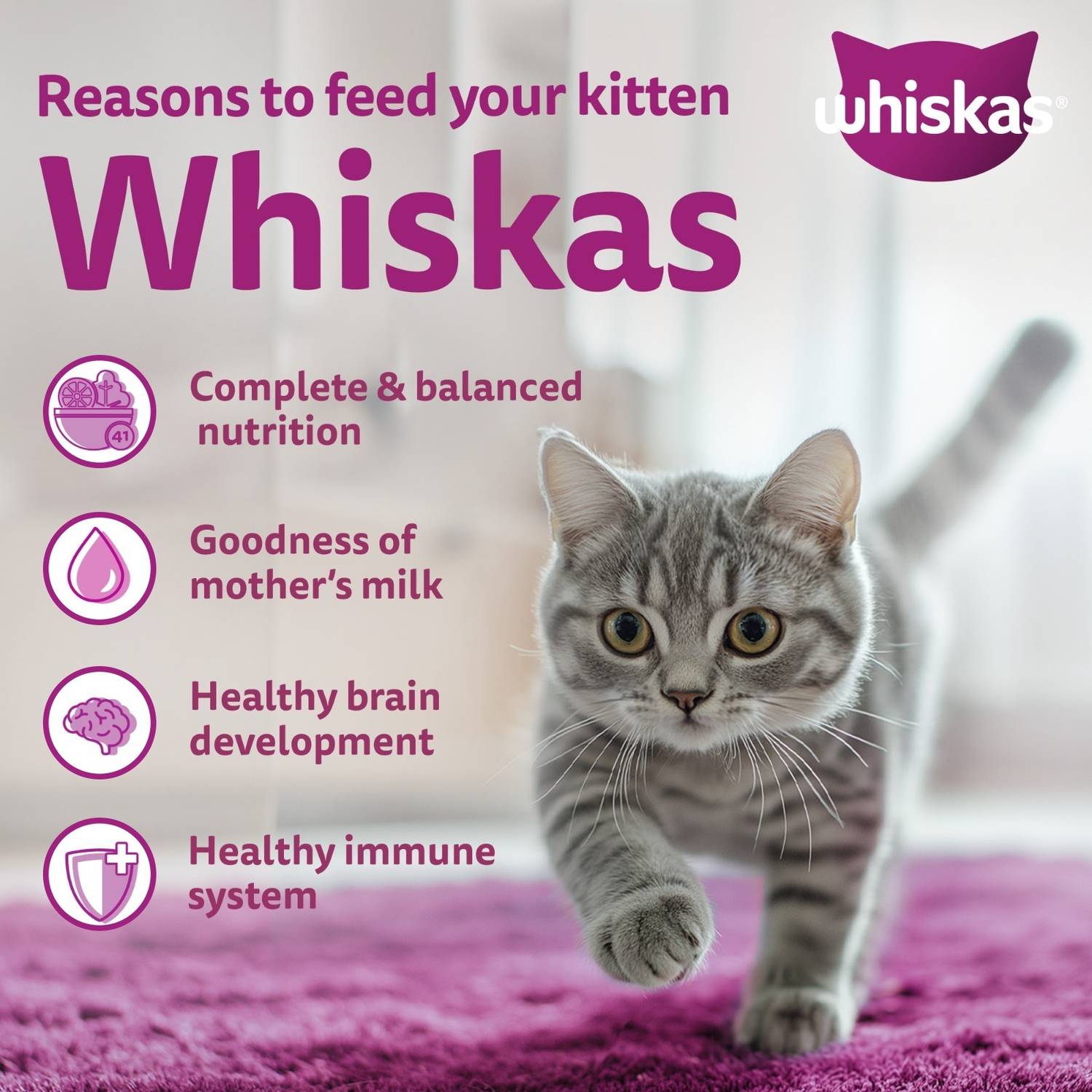 Whiskas Mackerel 3 kg Dry Kitten Food - Image 5