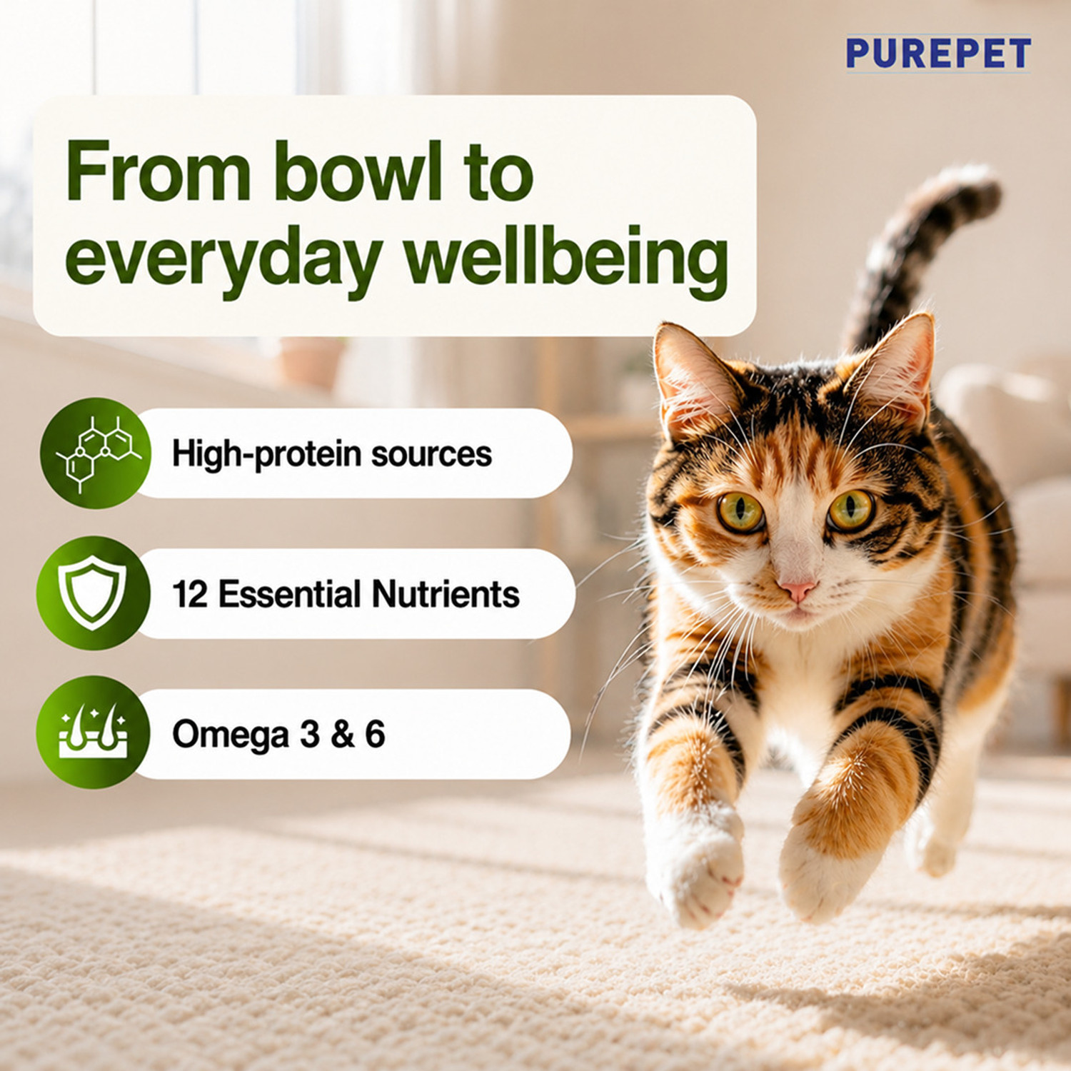 Image of Purepet Chicken & Vegetable 1 kg Dry Adult Cat Food