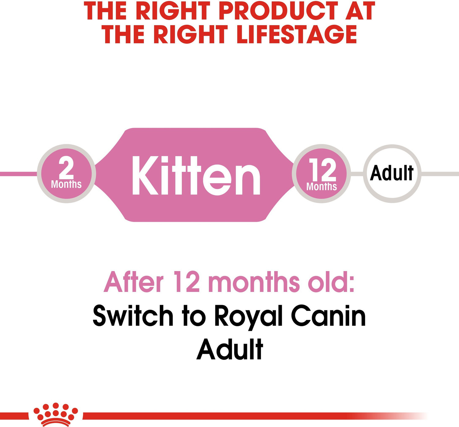 Image of Royal Canin Kitten 0.4 kg Dry Young Cat Food
