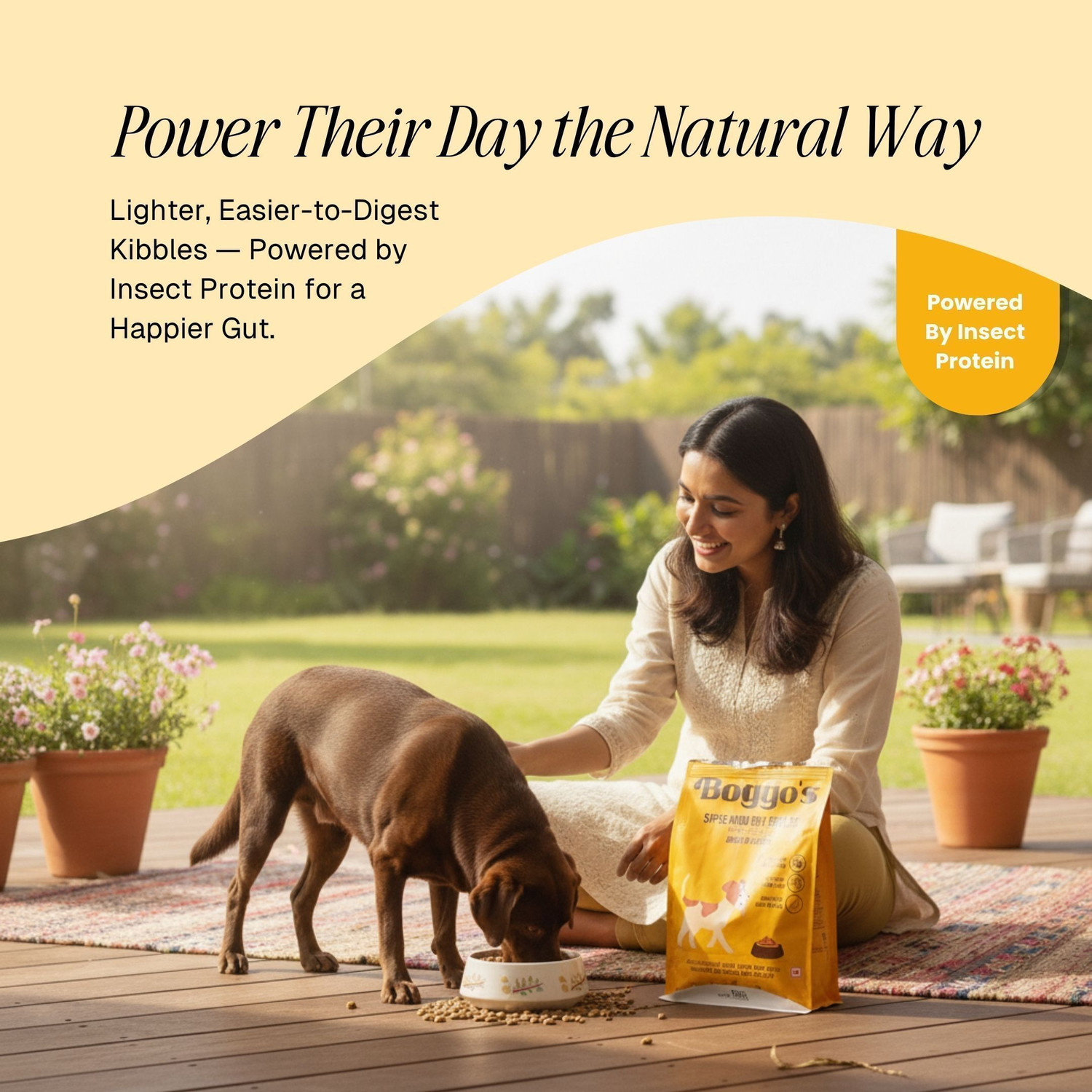 Image of Boggos Superfood Dry Kibbles Ideal for Adult Dogs of All Breeds, Rice and Chicken 1.2 kg Dry All Life Stages Dog Food