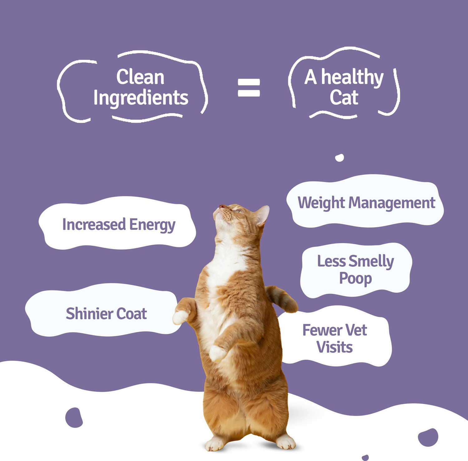 Image of BLEP Human Grade Mackerel Makarena Natural Cat Food (100gm X 1) Full Meal & Topper Fish 0.1 kg Wet Adult, Senior, Young Cat Food
