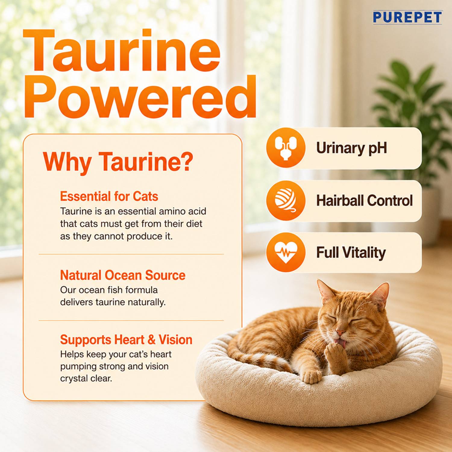 Purepet Sea Food 6 kg Dry Adult Cat Food - Image 4