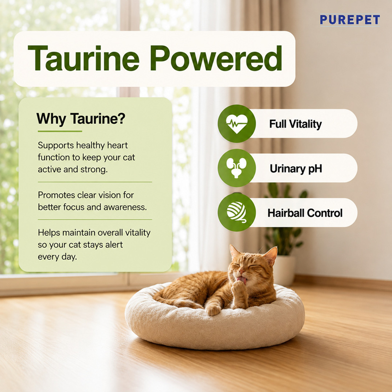 Image of Purepet Chicken & Vegetable 1 kg Dry Adult Cat Food
