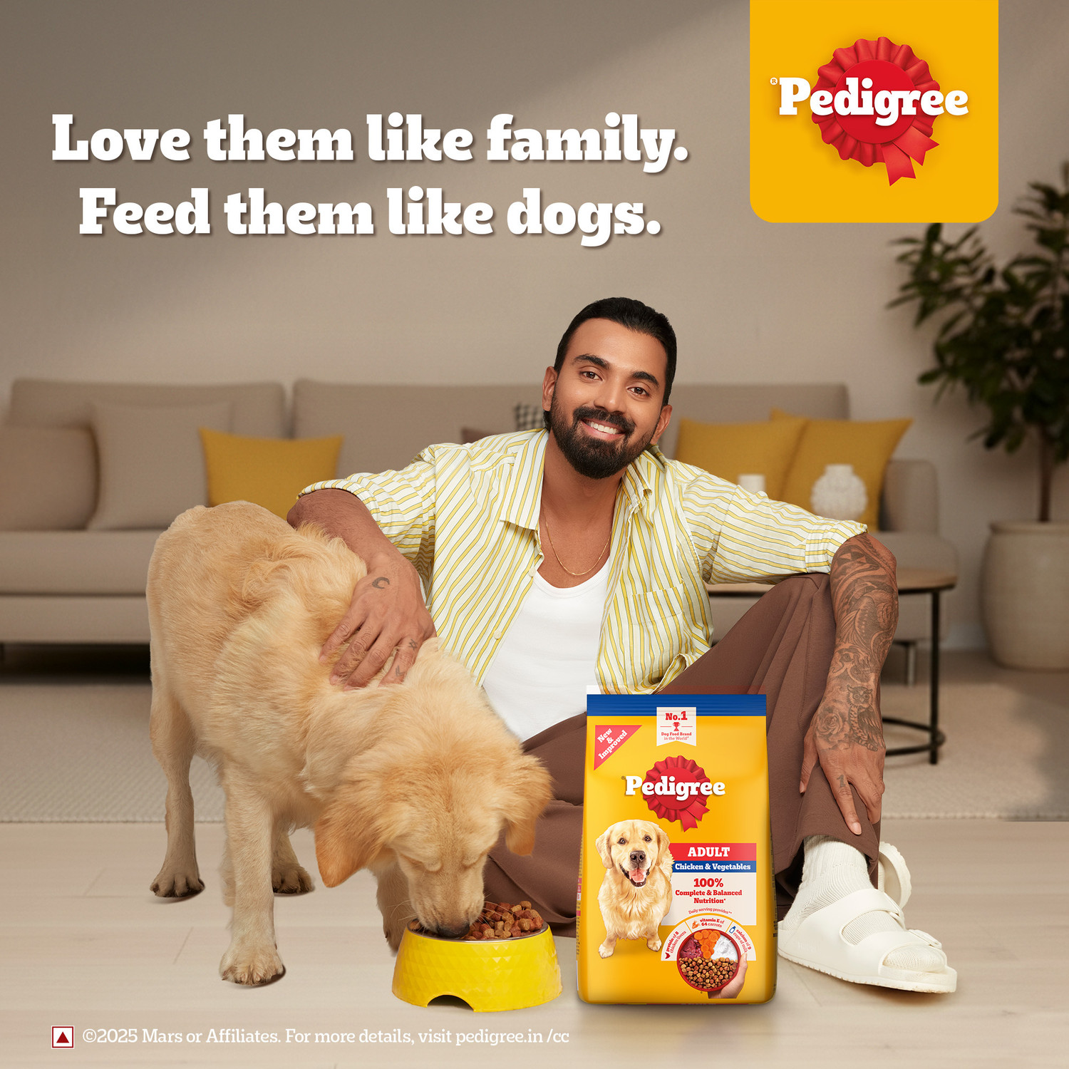 Image of PEDIGREE 100% Nutrition Chicken, Vegetable 11 kg (2x5.5 kg) Dry Adult Dog Food