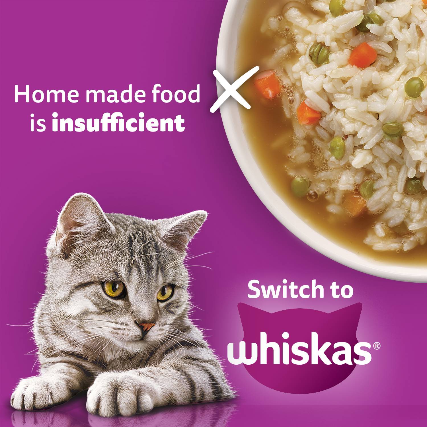 Whiskas Fish 3 kg Dry Adult Cat Food - Image 4