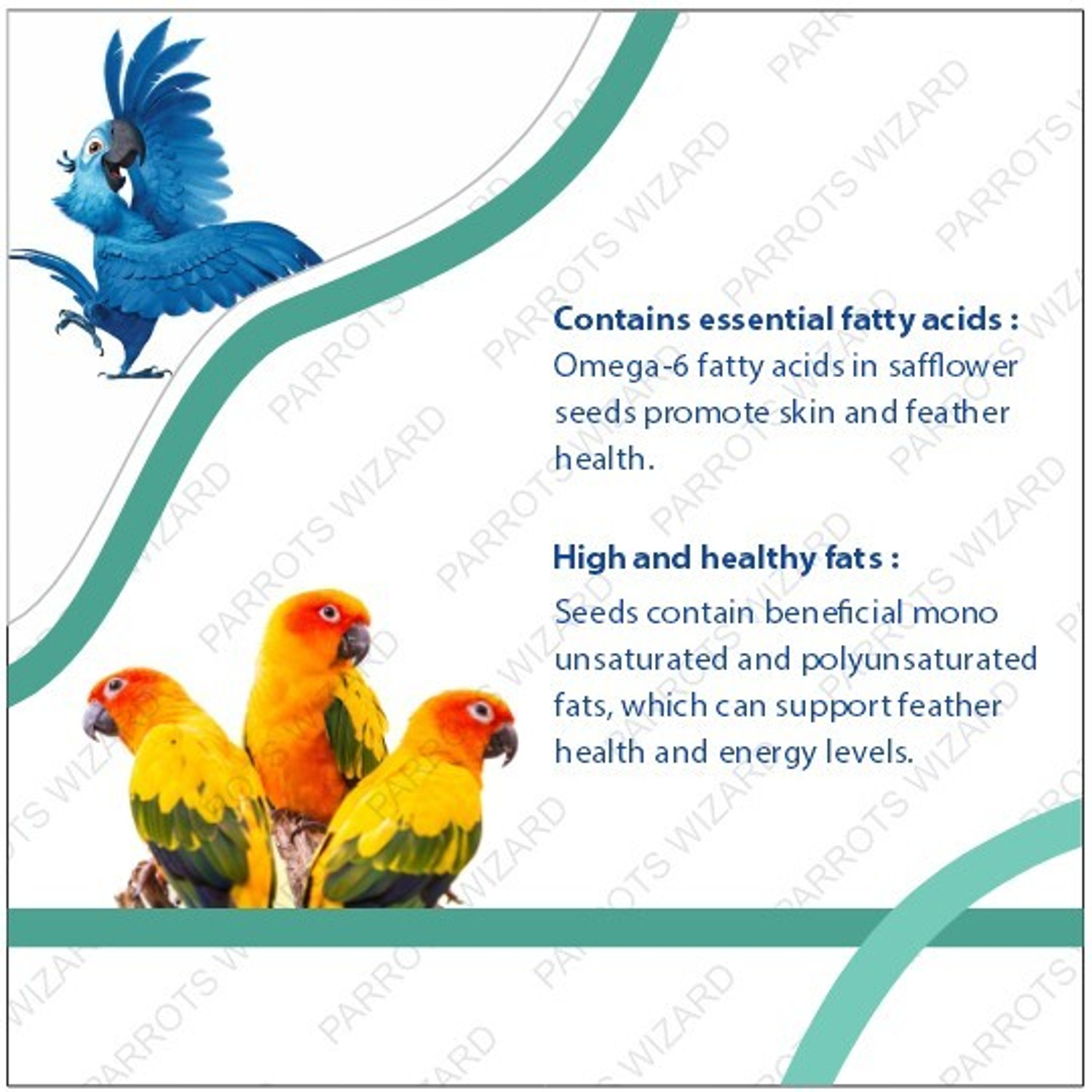 Image of Parrots Wizard Big Parrot Food 32 Types of Seed Mix 0.9 kg (2x0.45 kg) Dry Adult Bird Food