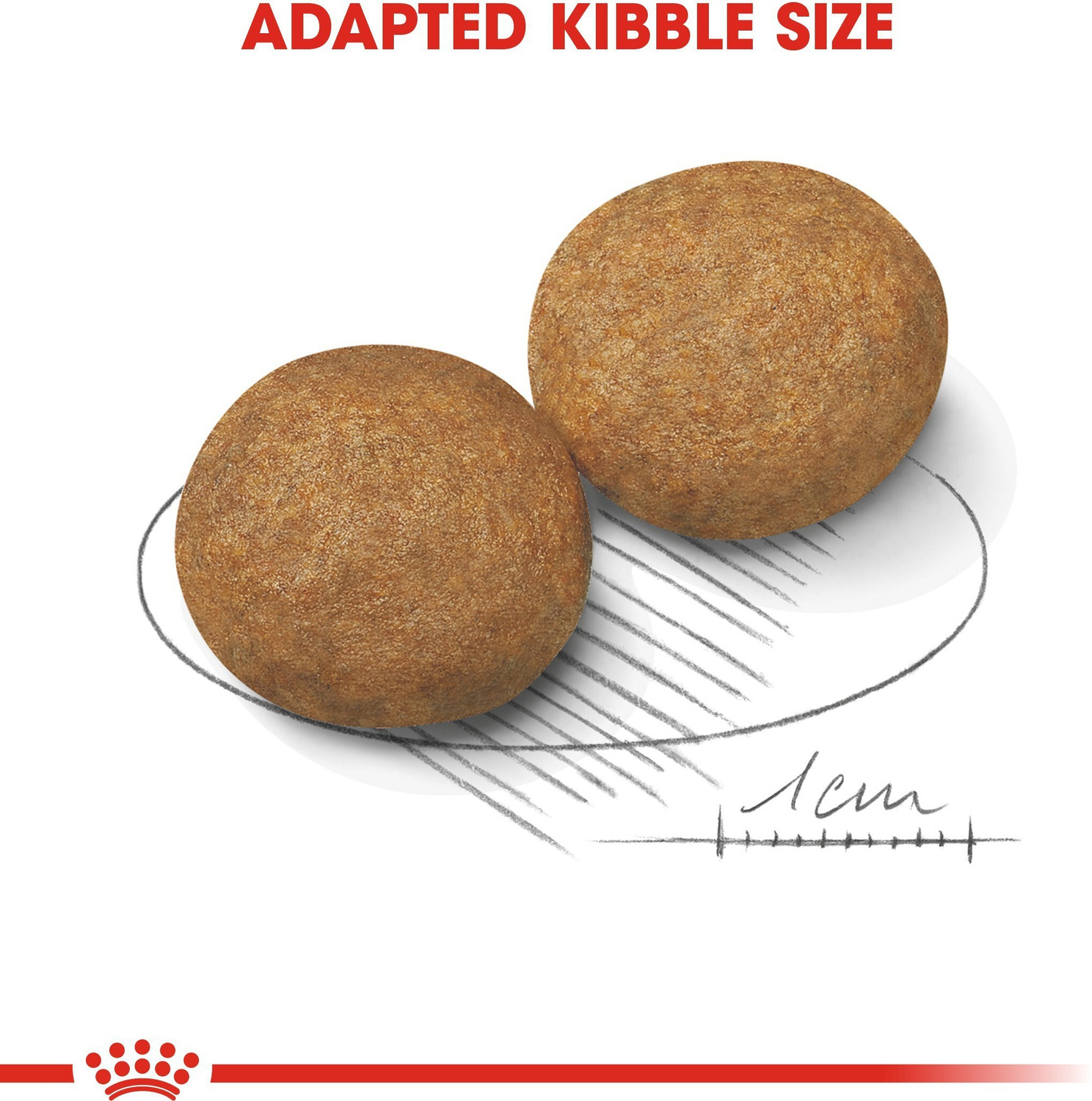 Image of Royal Canin Medium 4 Kg Dry Adult Dog Food
