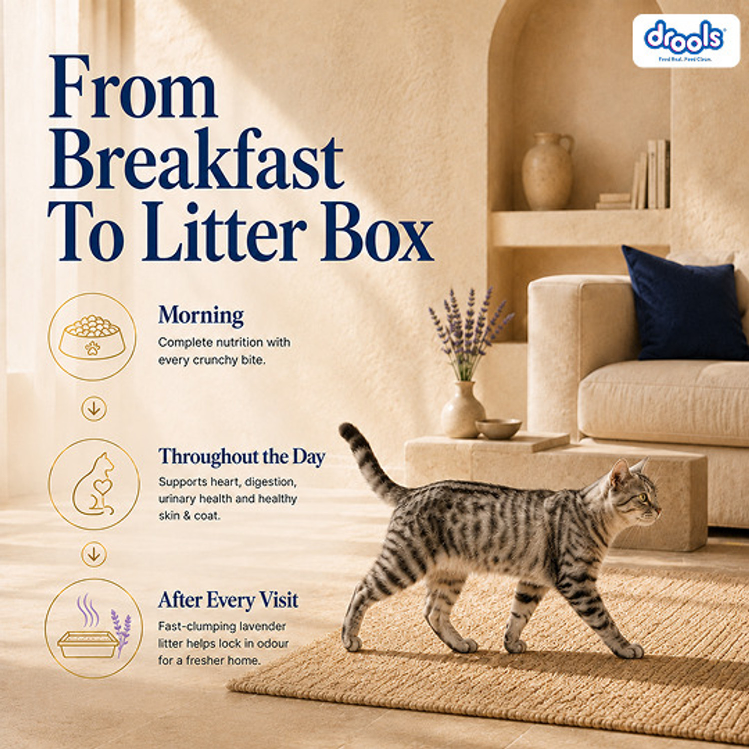 Image of Drools with 5kg Cat Litter and 7kg Real Chicken 12 kg Dry Adult Cat Food