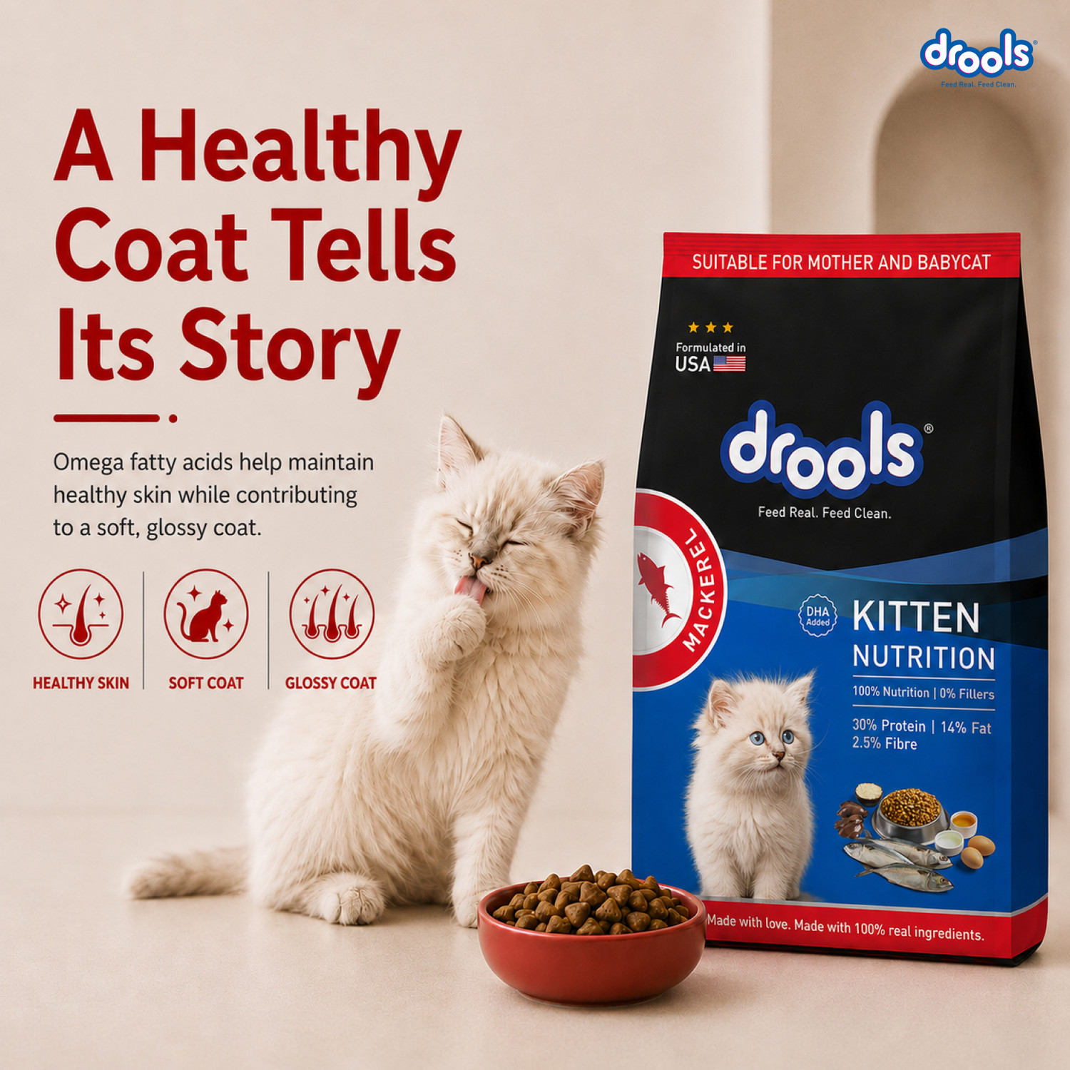 Image of Drools With Container Mackerel 1 kg Dry Young Cat Food