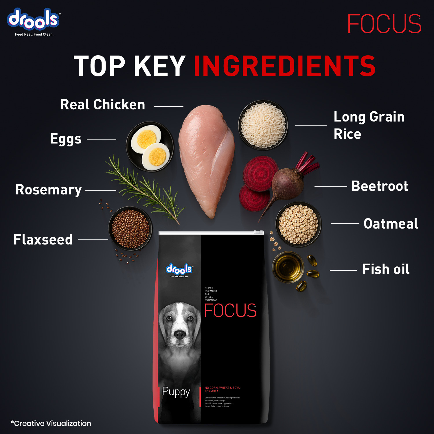 Image of Drools Focus Super Premium Chicken 1.2 kg Dry Young Dog Food