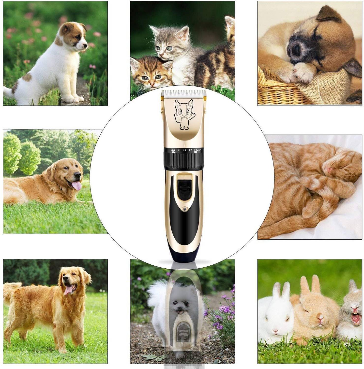 Vaaanex DHT-787 Gold, Black Pet Hair Trimmer Price in India - Buy