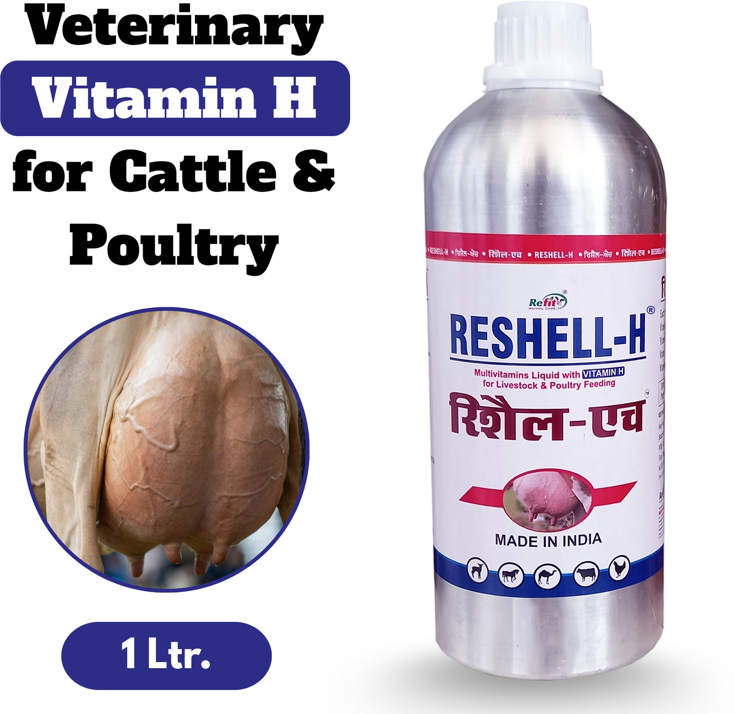 Image of REFIT ANIMAL CARE Vitamin H for Cow, Buffalo, Birds, Cattle & Poultry Multivitamins H, E, A & D3 Pet Health Supplements
