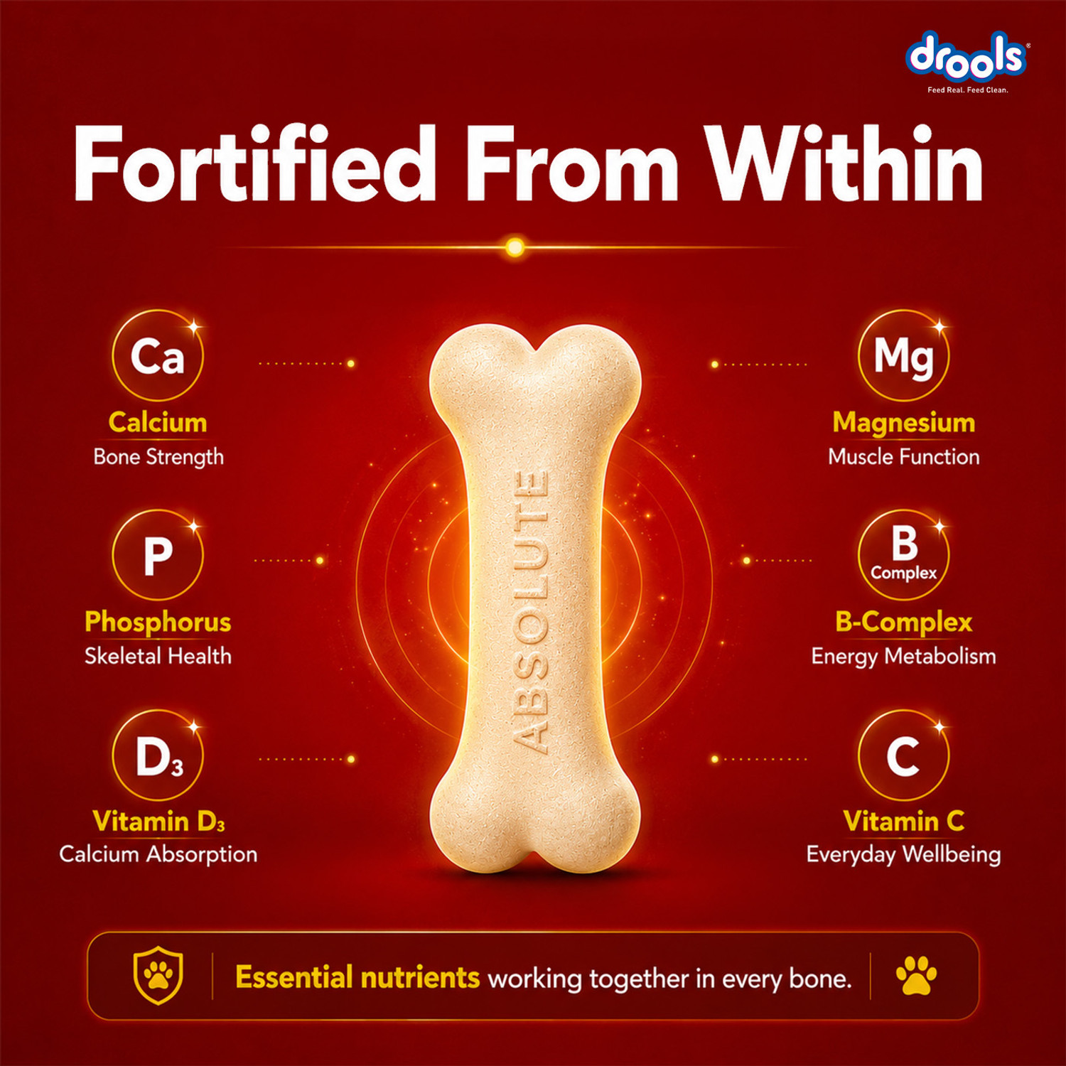 Image of Drools Absolute Calcium Bone(40 Pieces) Dog Treats / Pet Health Supplements