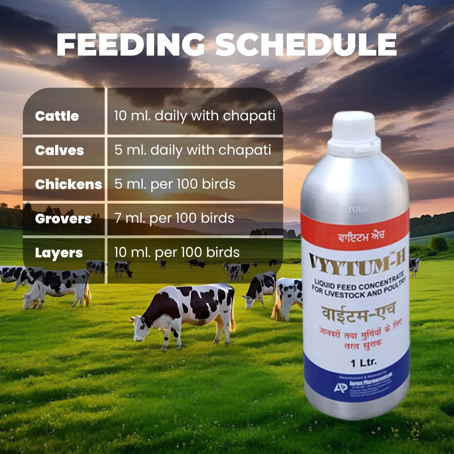 Image of Aurous VYYTUM H-Liquid Feed Concentrate Pet Health Supplements