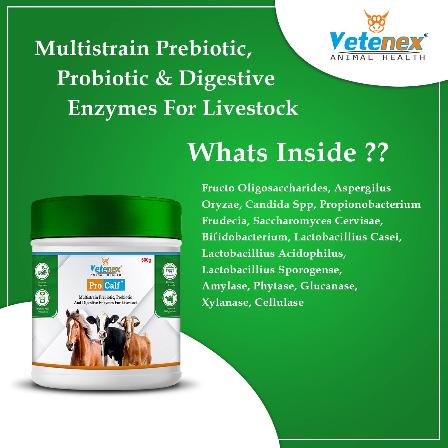 VETENEX Pro Calf Plus Supplement for Cattle, Buffalo - Image 5