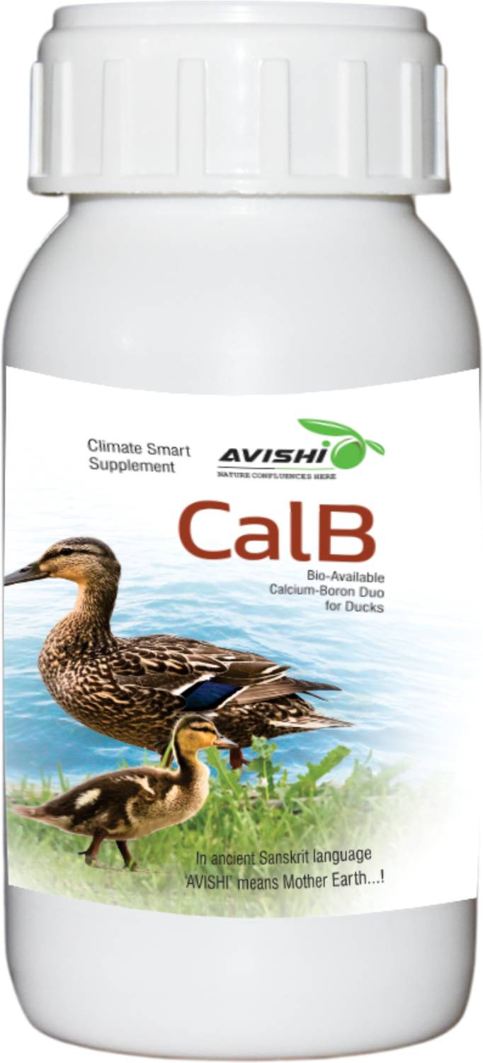 Avishi Duck CalB Calcium-Boron Supplement Pet Health Supplements