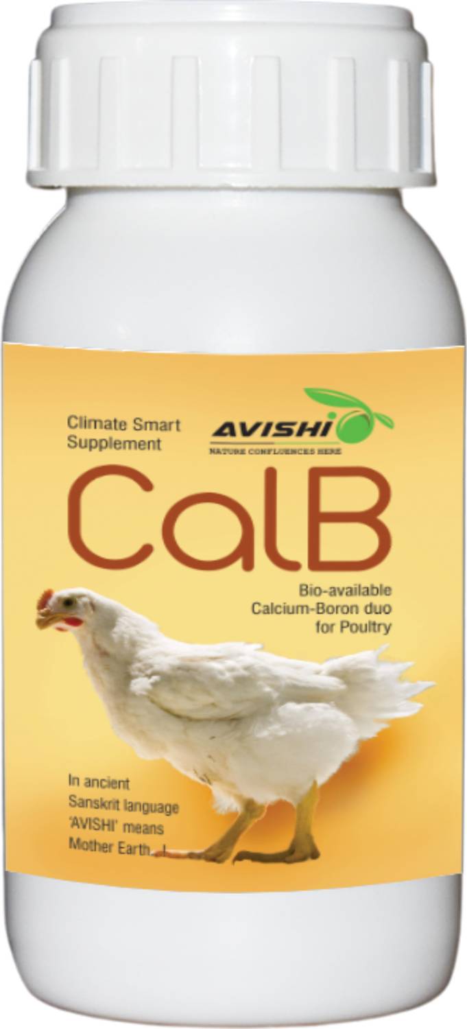 Avishi Poultry CalB Calcium-Boron Supplement Pet Health Supplements