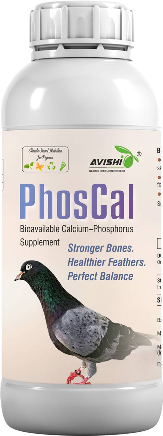 Avishi PhosCal Bioavailable Calcium Phosphorus Supplement for Pigeons Pet Health Supplements