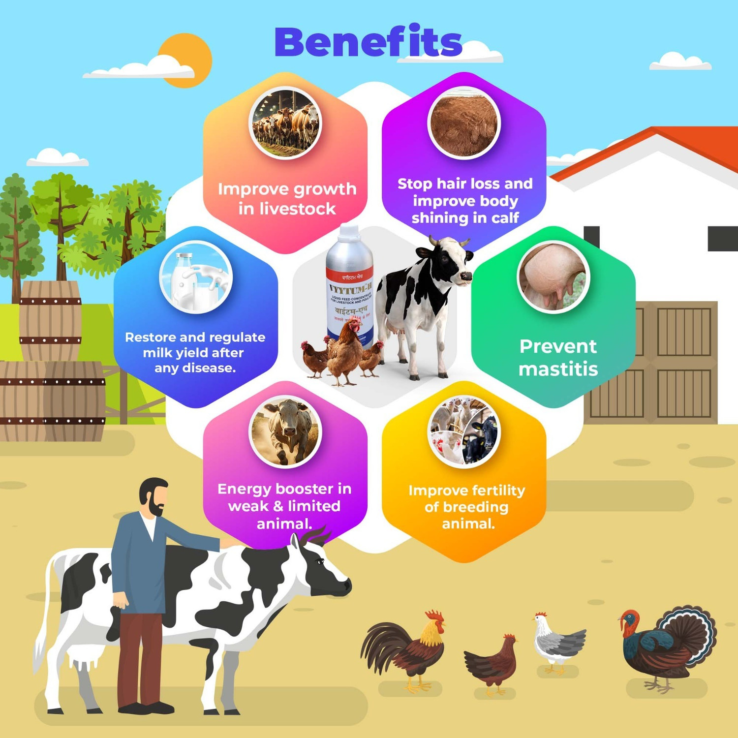 Image of Aurous VYYTUM H-Liquid Feed Concentrate Pet Health Supplements