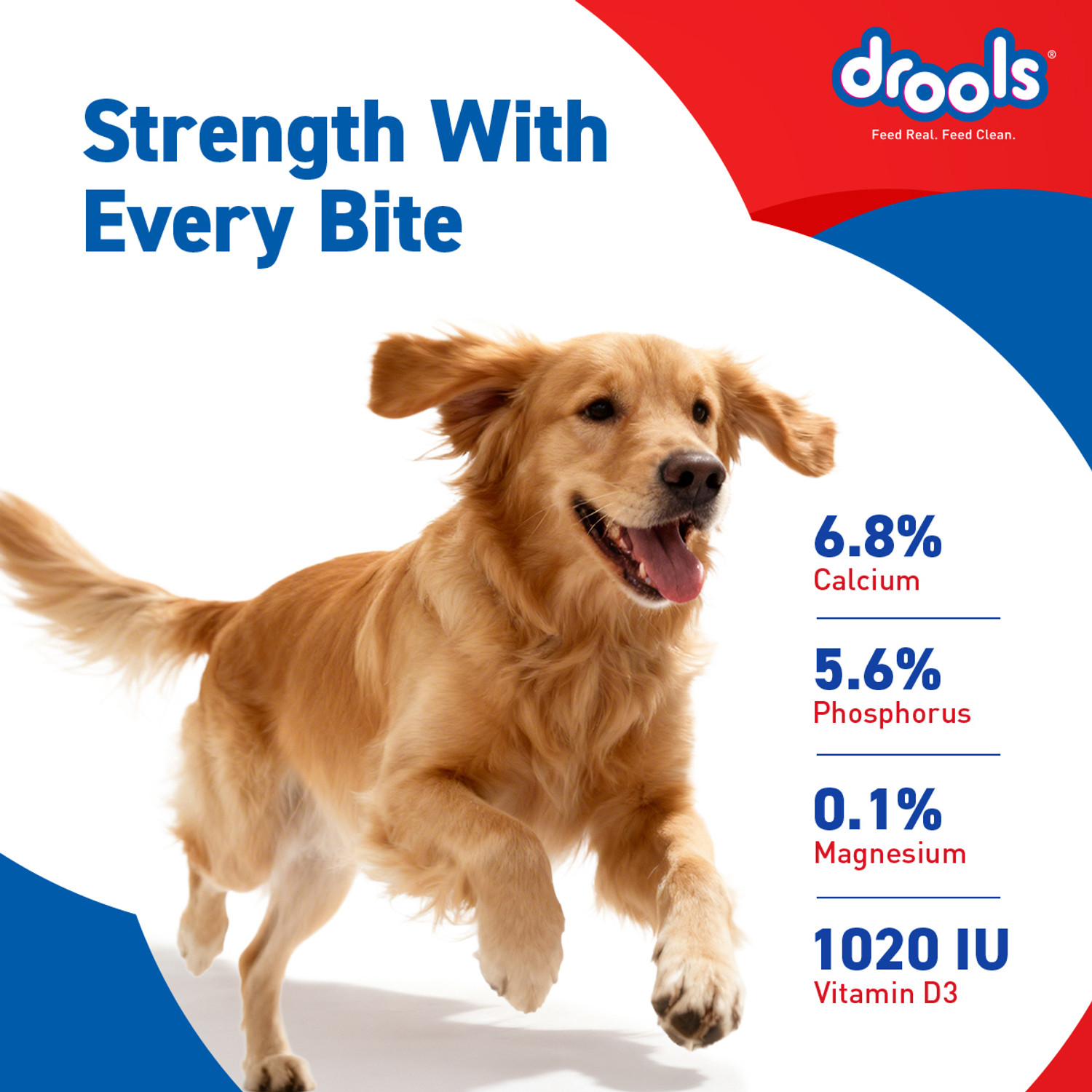 Image of Drools Absolute Calcium Bone(40 Pieces) Dog Treats / Pet Health Supplements