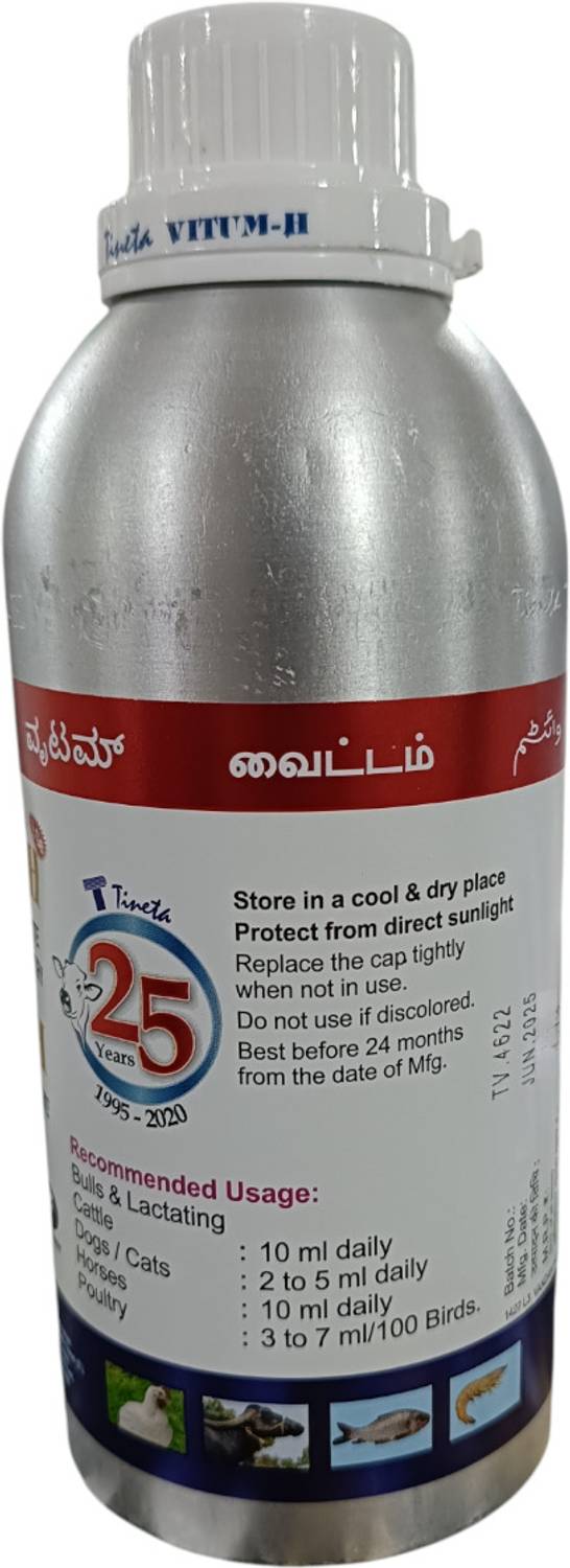ADILAID Tineta Vitum H Herbal Multivitamin Supplement - Image 3