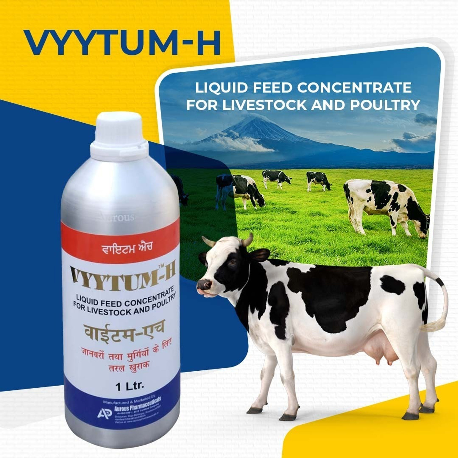 Image of Aurous VYYTUM H-Liquid Feed Concentrate Pet Health Supplements