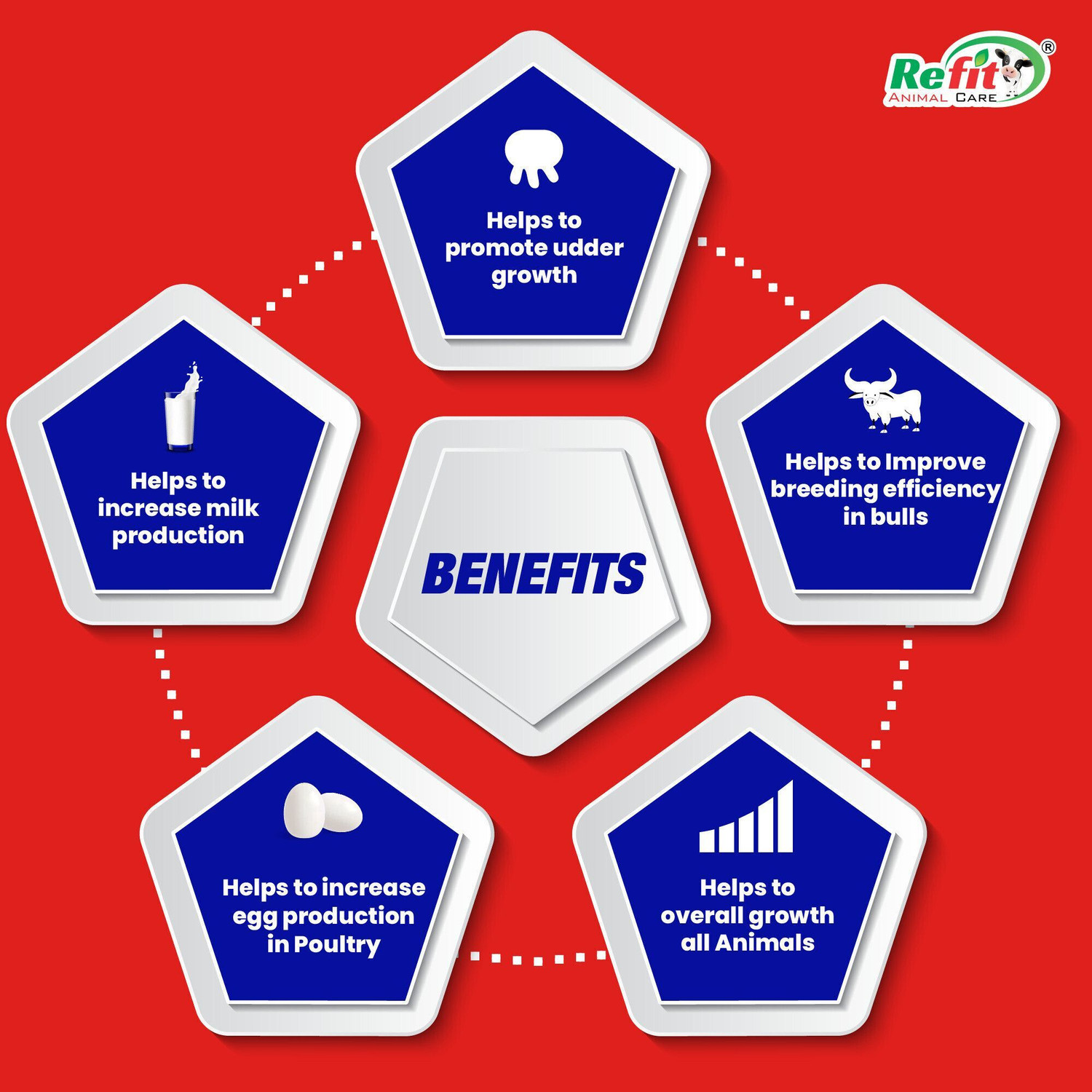 Image of REFIT ANIMAL CARE Vitamin H for Cow, Buffalo, Birds, Cattle & Poultry Multivitamins H, E, A & D3 Pet Health Supplements