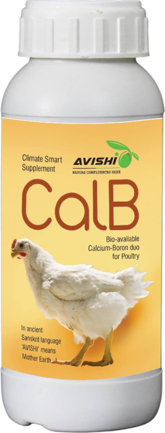 Avishi Poultry CalB Calcium-Boron Supplement Pet Health Supplements