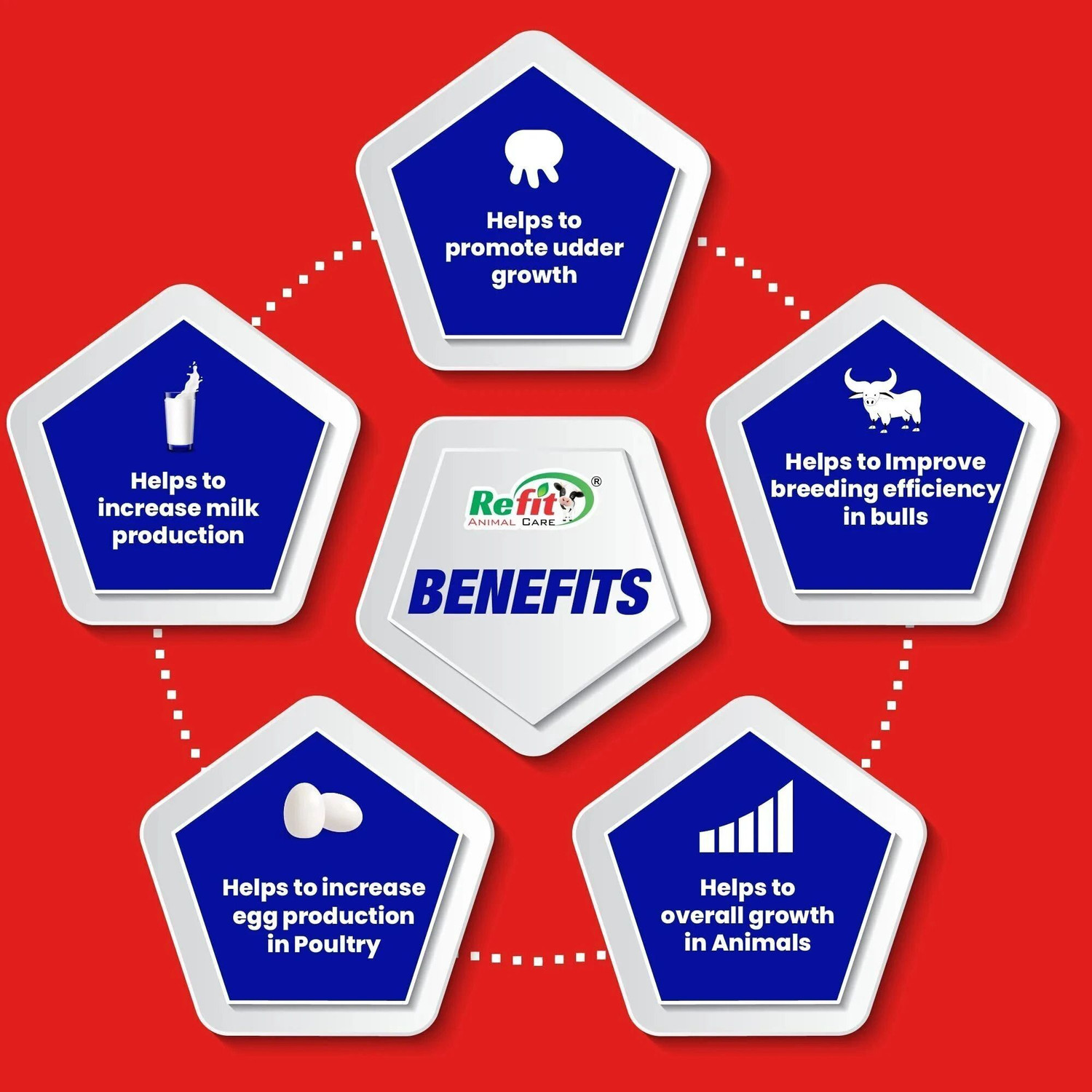 Image of REFIT ANIMAL CARE Vitamin H for Cow, Buffalo, Birds, Cattle & Poultry Multivitamins H, E, A & D3 Pet Health Supplements