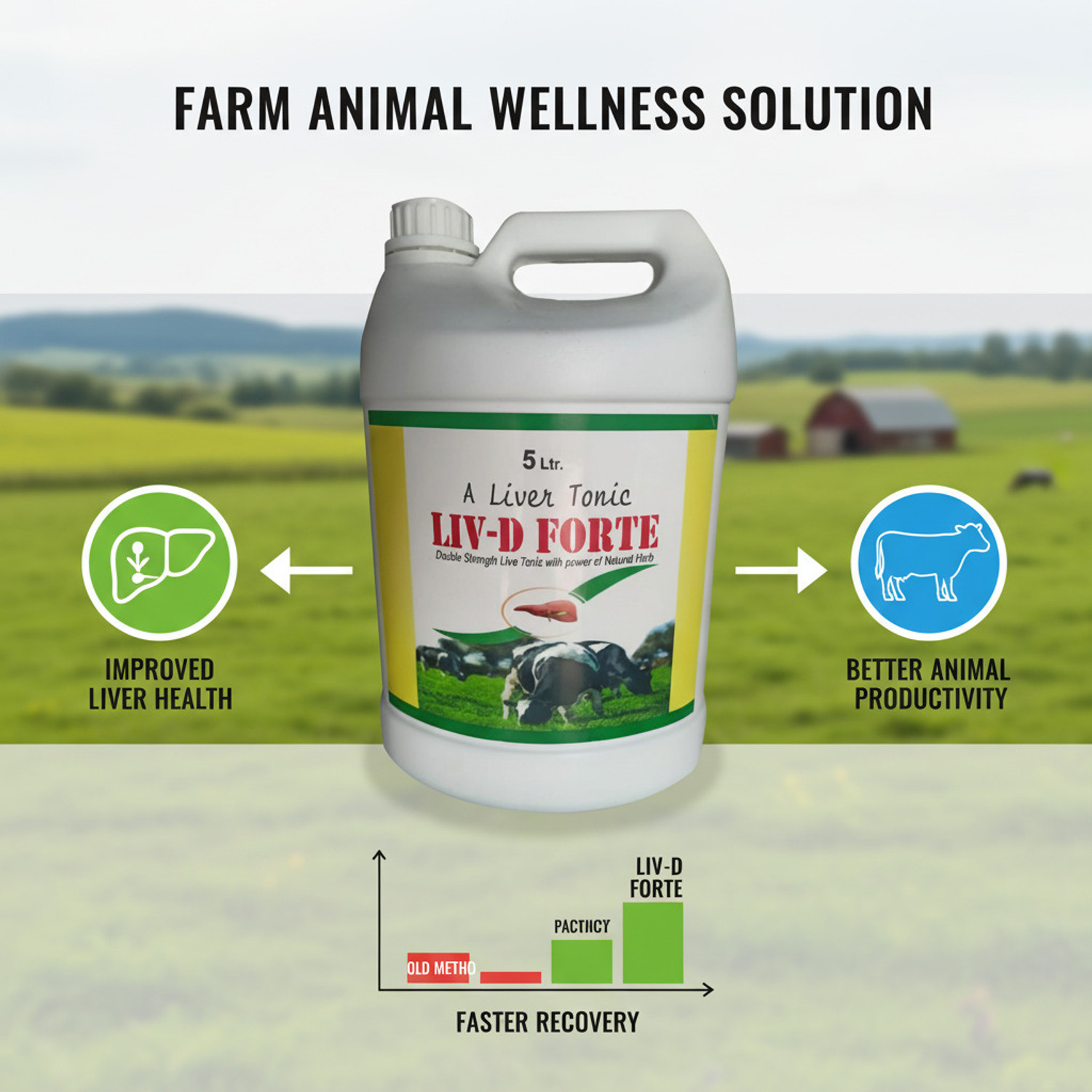 Image of Deeligent Biotech LIV D Forte Liver Tonic for Pets | Boosts Appetite & Digestion | Detox Formula Pet Health Supplements