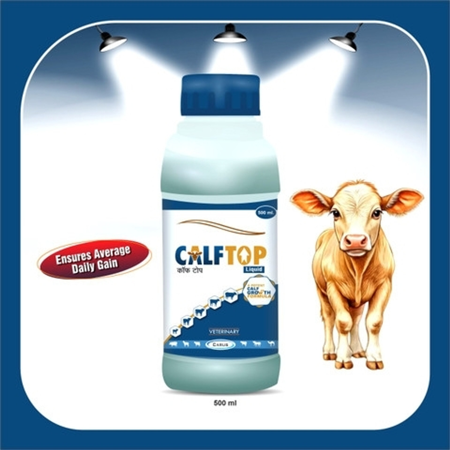 Image of CalfTop Liquid Supplement For Calf Growth Pet Health Supplements