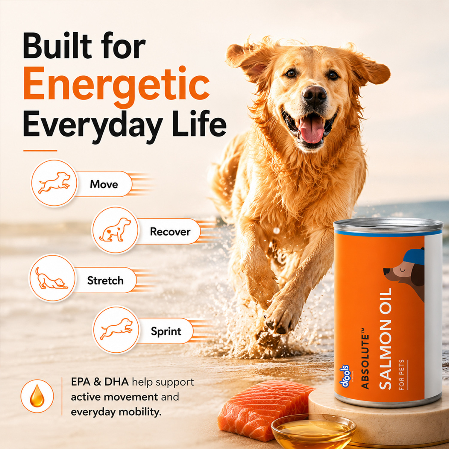Image of Drools Salmon Oil Syrup Pet Health Supplements