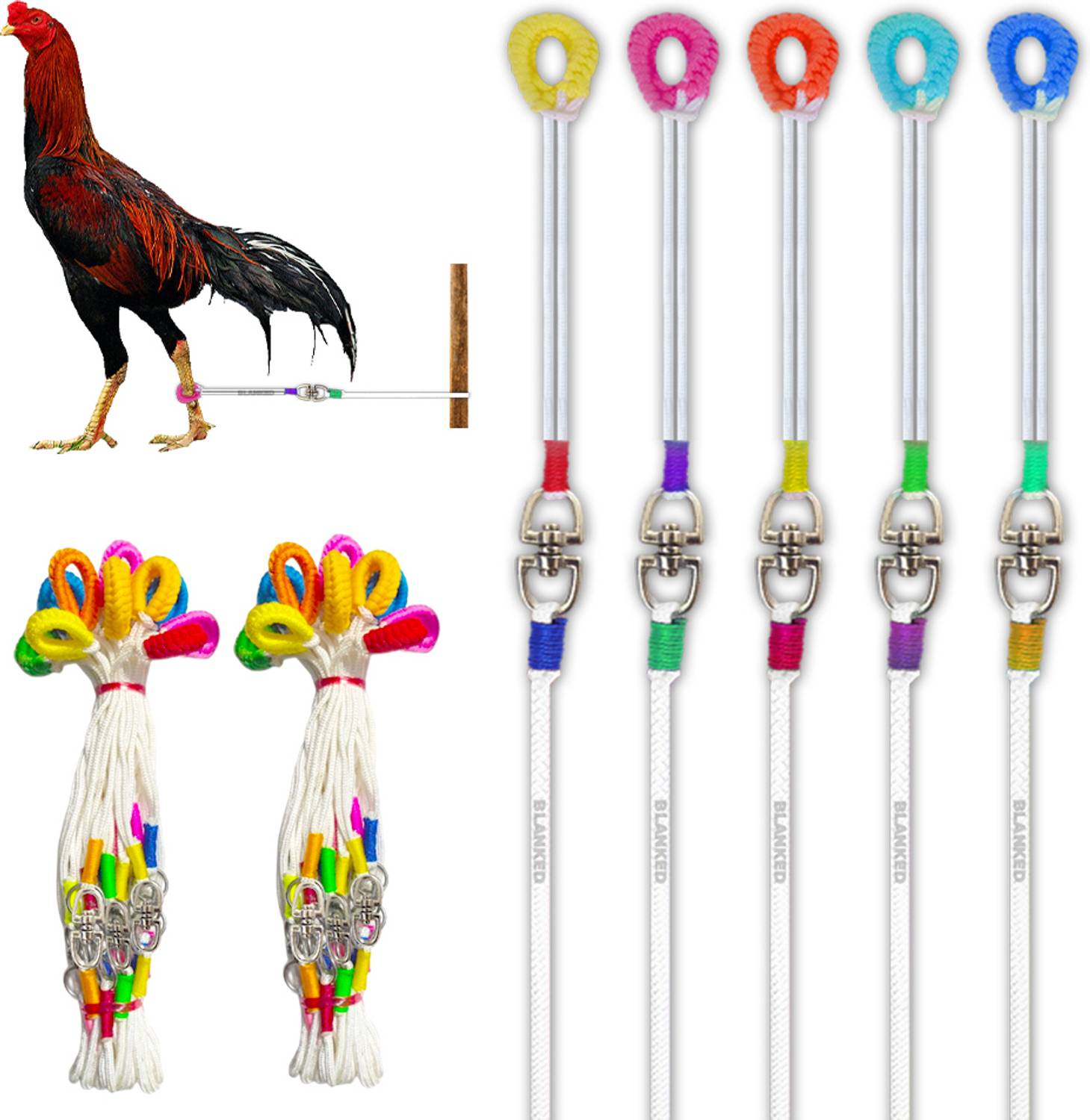BLANKED Aseel Rooster Rope (Pack of 10) White - Image 2