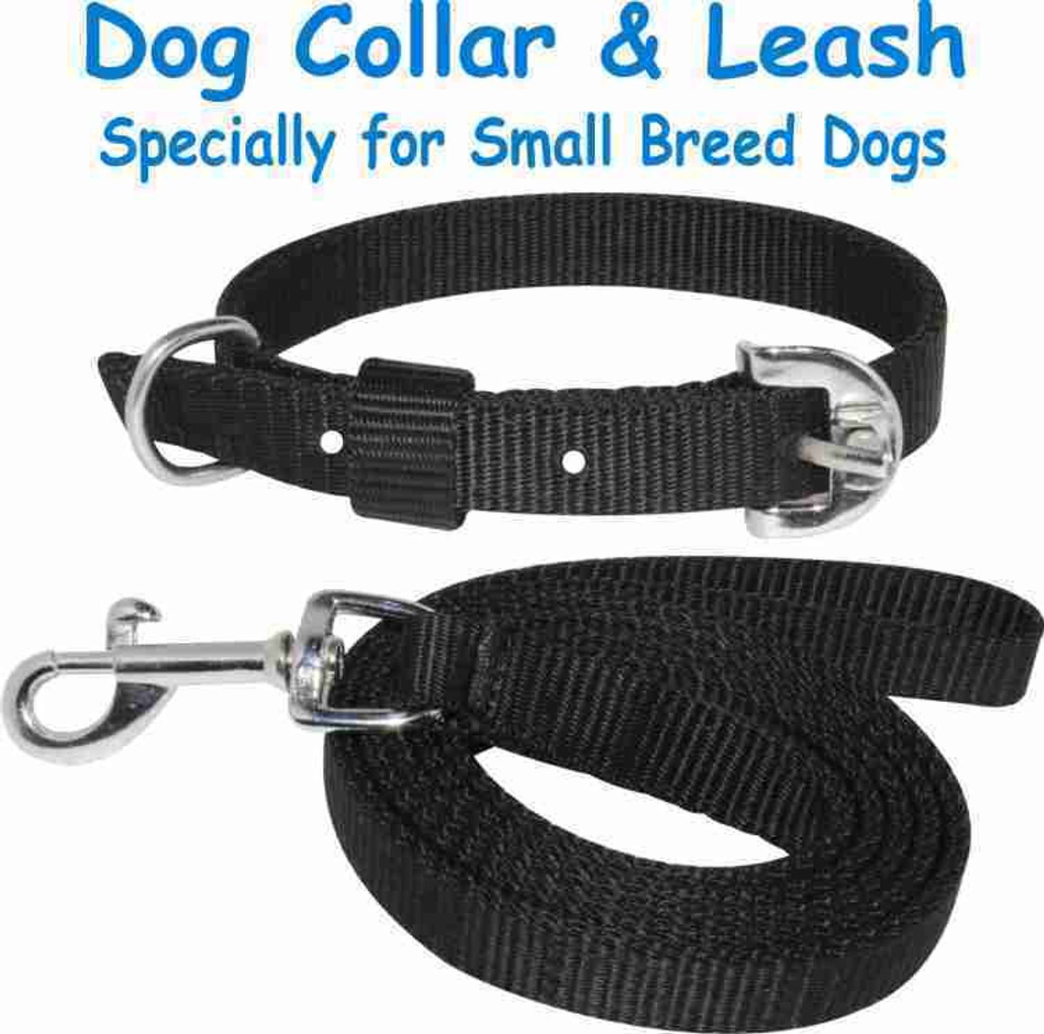 Aviean International Dog Belt Combo of Black Dog Collar with Dog Leash Dog 26 cm Dog & Cat Strap Leash