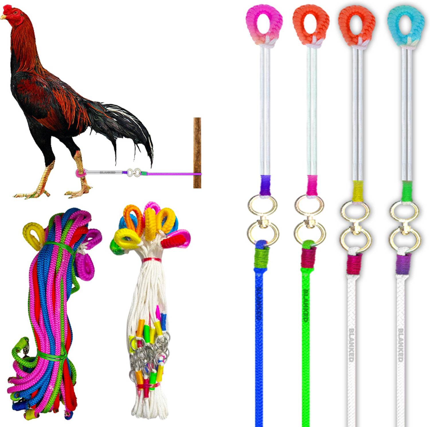 BLANKED Multicolor Aseel Rope (2) & White Color Aseel Rope (2) Combo |RC| (Pack of 4) 140 cm Bird Cord Leash