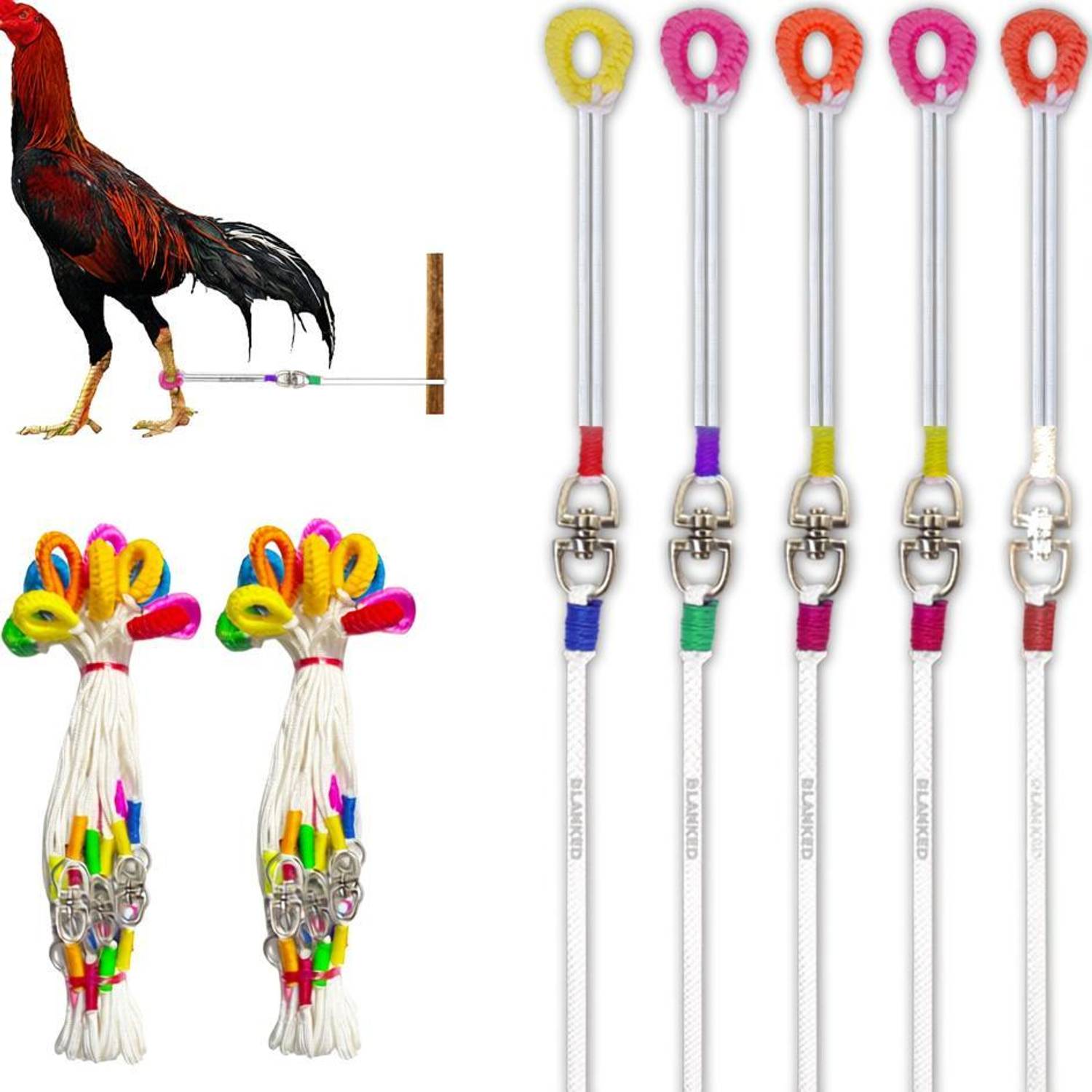 BLANKED Aseel Rooster Rope (Pack of 3)| Asil Murga Leash |(White)| (Oval Coupler) 140 cm Bird Cord Leash