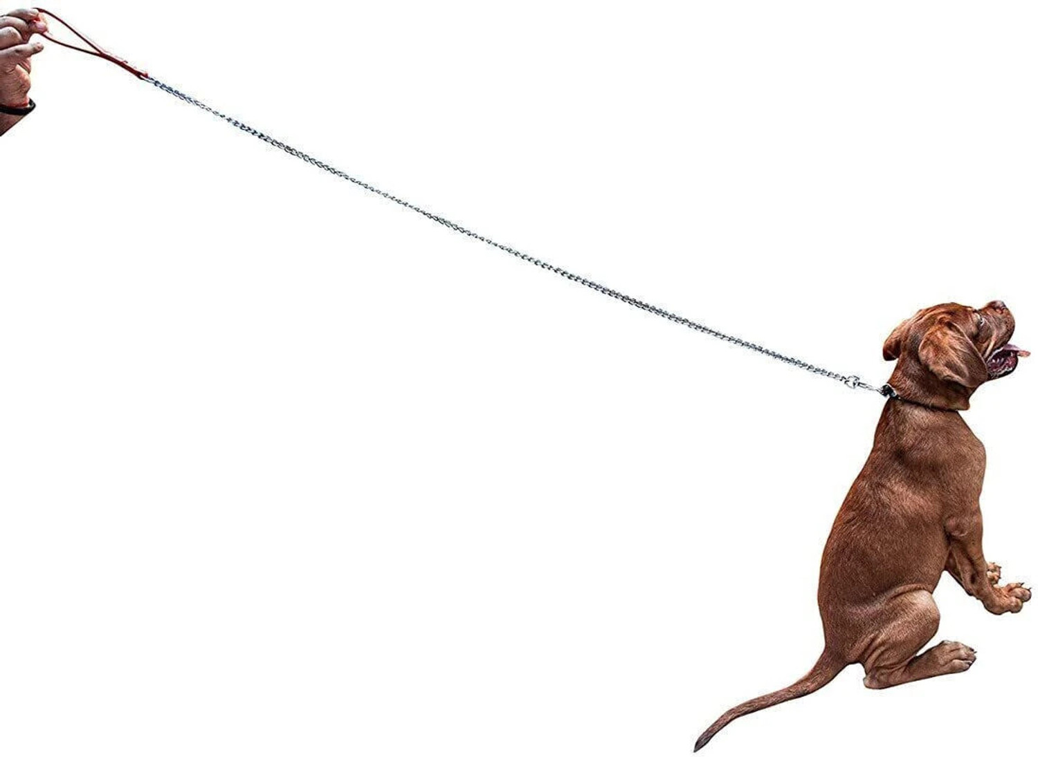 Image of PetJoy No.10, 60-inch design chain for Medium Dogs 150 cm Chain Leash 160 cm Dog Chain Leash
