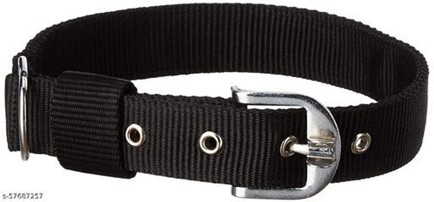 Image of Smart Doggie Smart Doggie Dog Collar Nylon with chain For Small Dog NOT FOR PUPPY 25 cm Dog Chain Leash