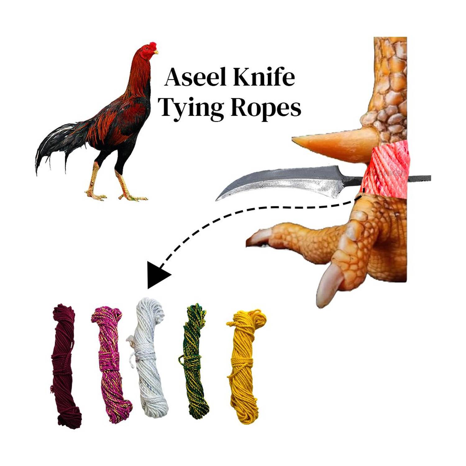BLANKED Knife Tying Ropes (Pack of 3) made for tying blades in Aseel legs while fighting Bird Leash