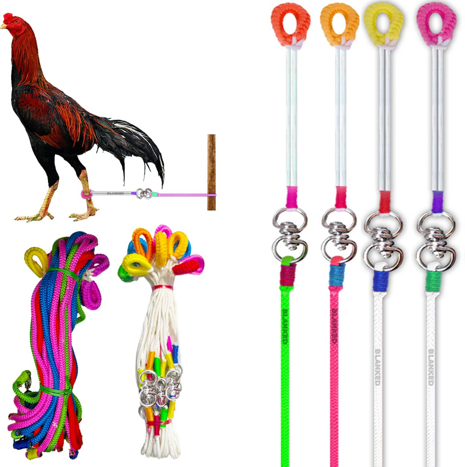 BLANKED Multicolor & White Color Aseel Rooster Rope Combo (Pack of 4) | (Spiral Coupler) 140 cm Bird Cord Leash