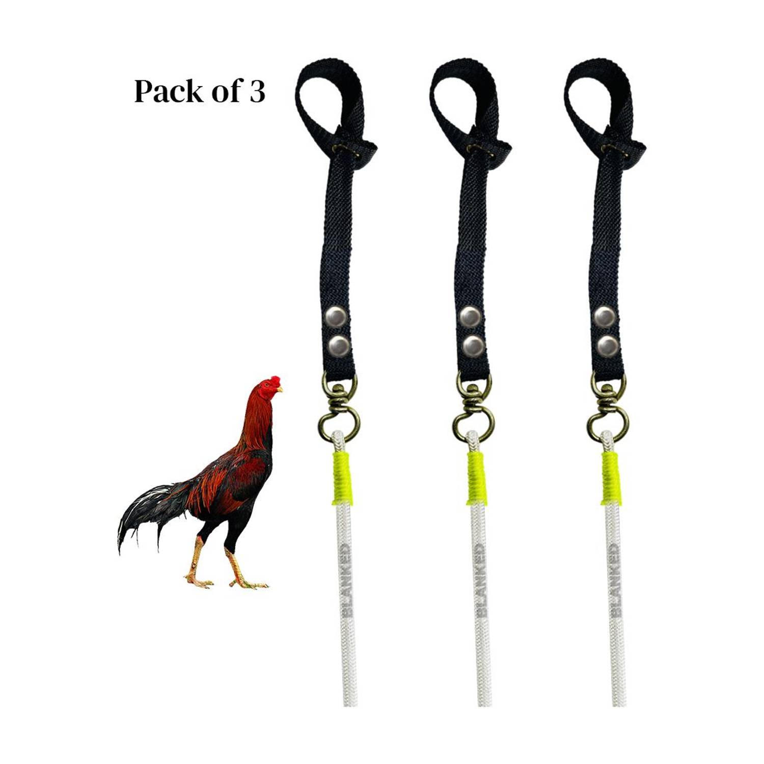 BLANKED BLANKED Aseel & Parrot Nose Rooster Tape Rope (Pack of 3)|Asil Murgaa Leash 55 cm Bird Strap Leash