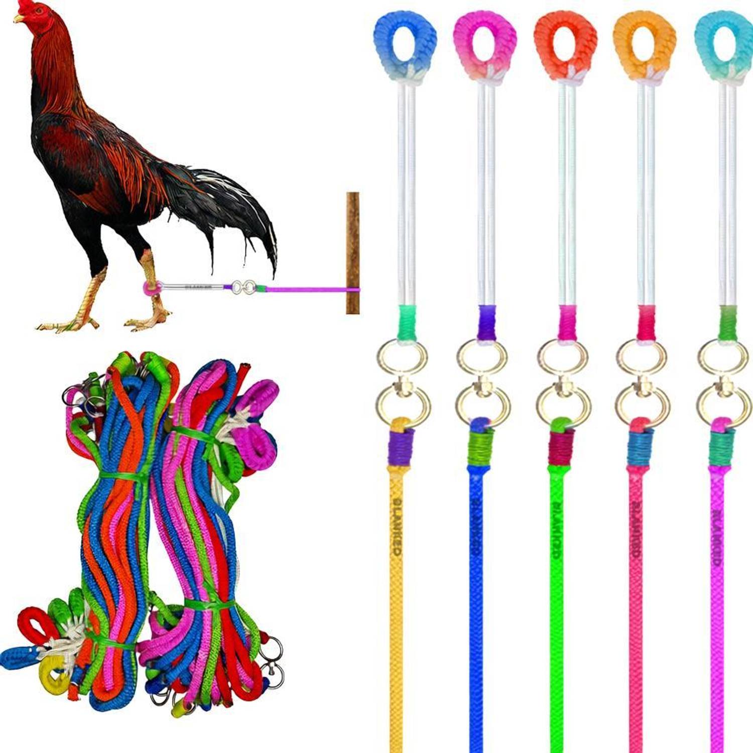 BLANKED Multicolor Aseel Rooster Rope (Pack of 5)| Asil Murgee Leash|(Round coupler) 140 cm Bird Cord Leash