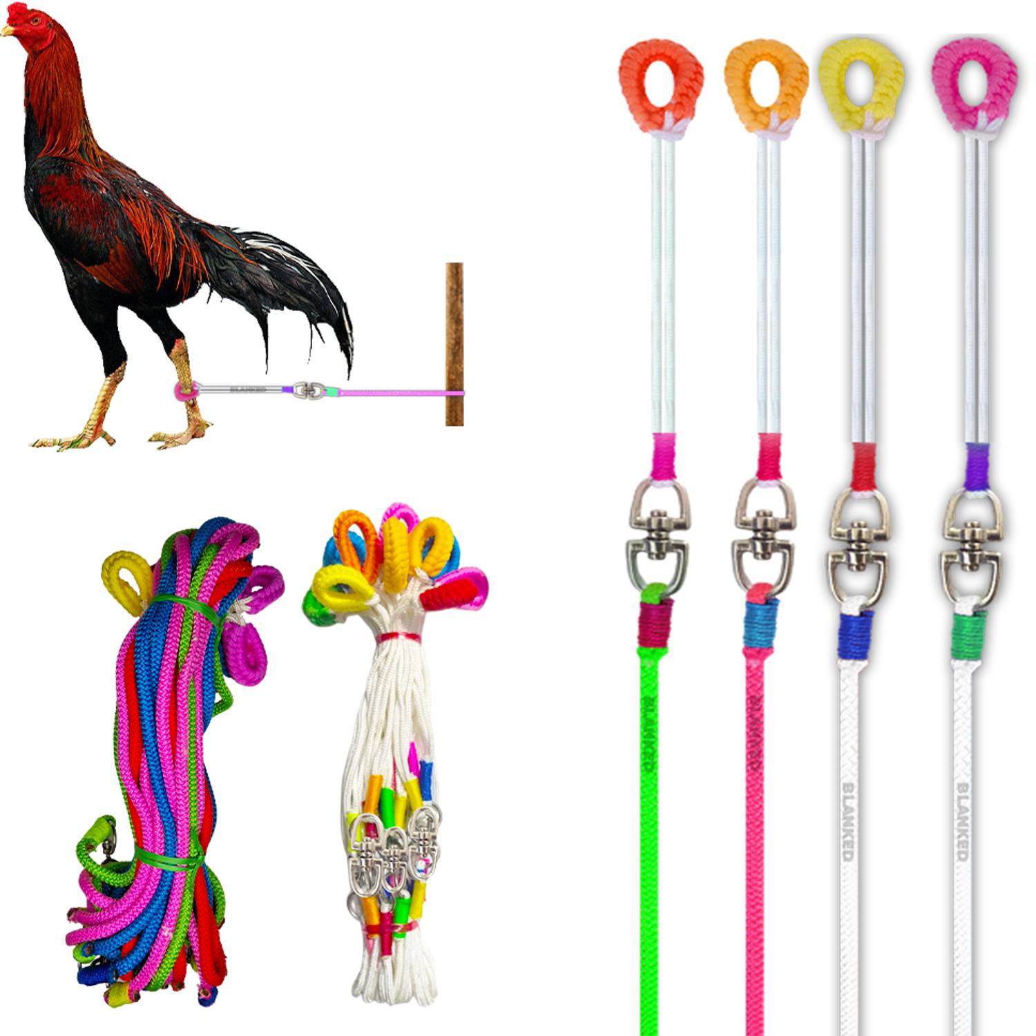 BLANKED Multicolor & White Color Aseel Rooster Rope Combo (Pack of 4) | (Oval Coupler) 140 cm Bird Cord Leash