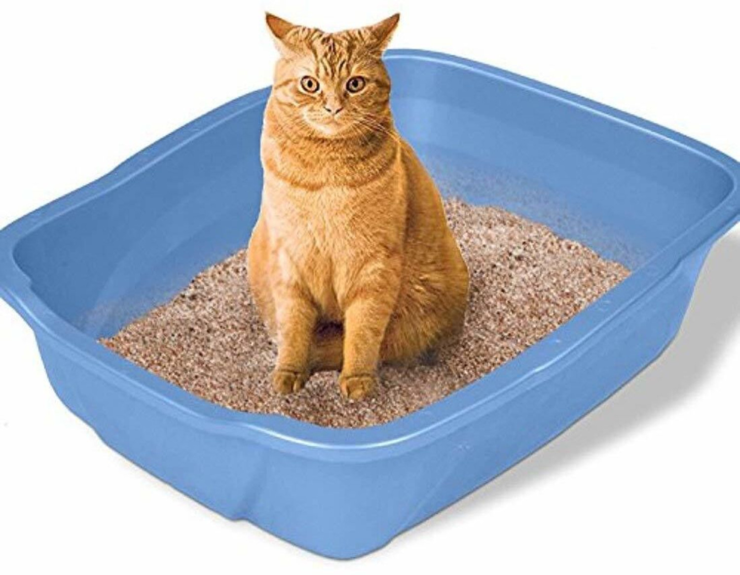Image of Emily Pets Fresh Scented Bentonite Cat Litter (Lavender, 5 L) Pet Litter Tray Refill
