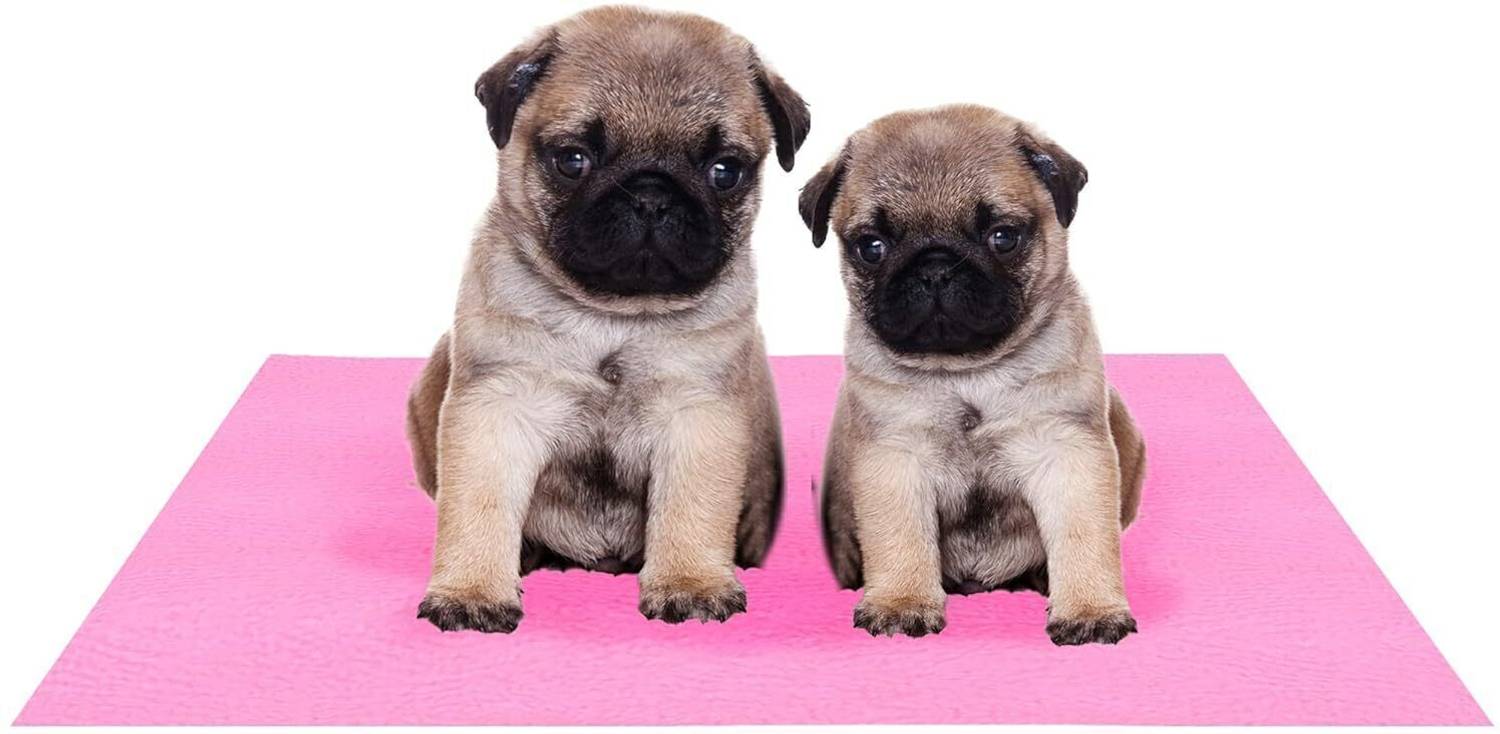 Amorite Reusable Washable Pee Pads-Puppies Washable Dog/Cat Diapers Pink Dog, Cat, Rabbit, Hamster Pet Mat