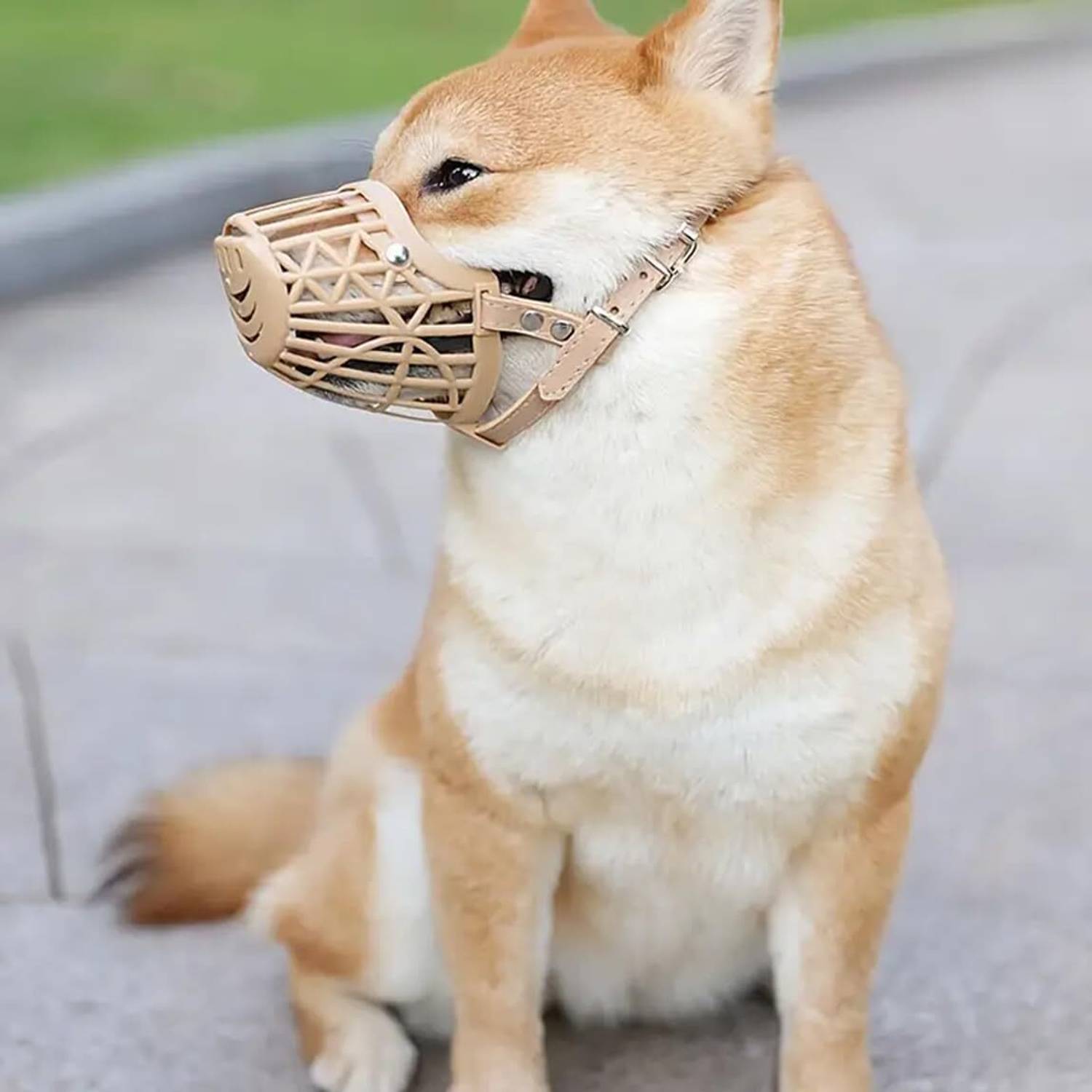 AKEnnterprises Dogs Mouth Cover Muzzles Anti-Biting Soft Plastic Muzzle Small Breed Dogs-S-No-3 Small Other Dog Muzzle
