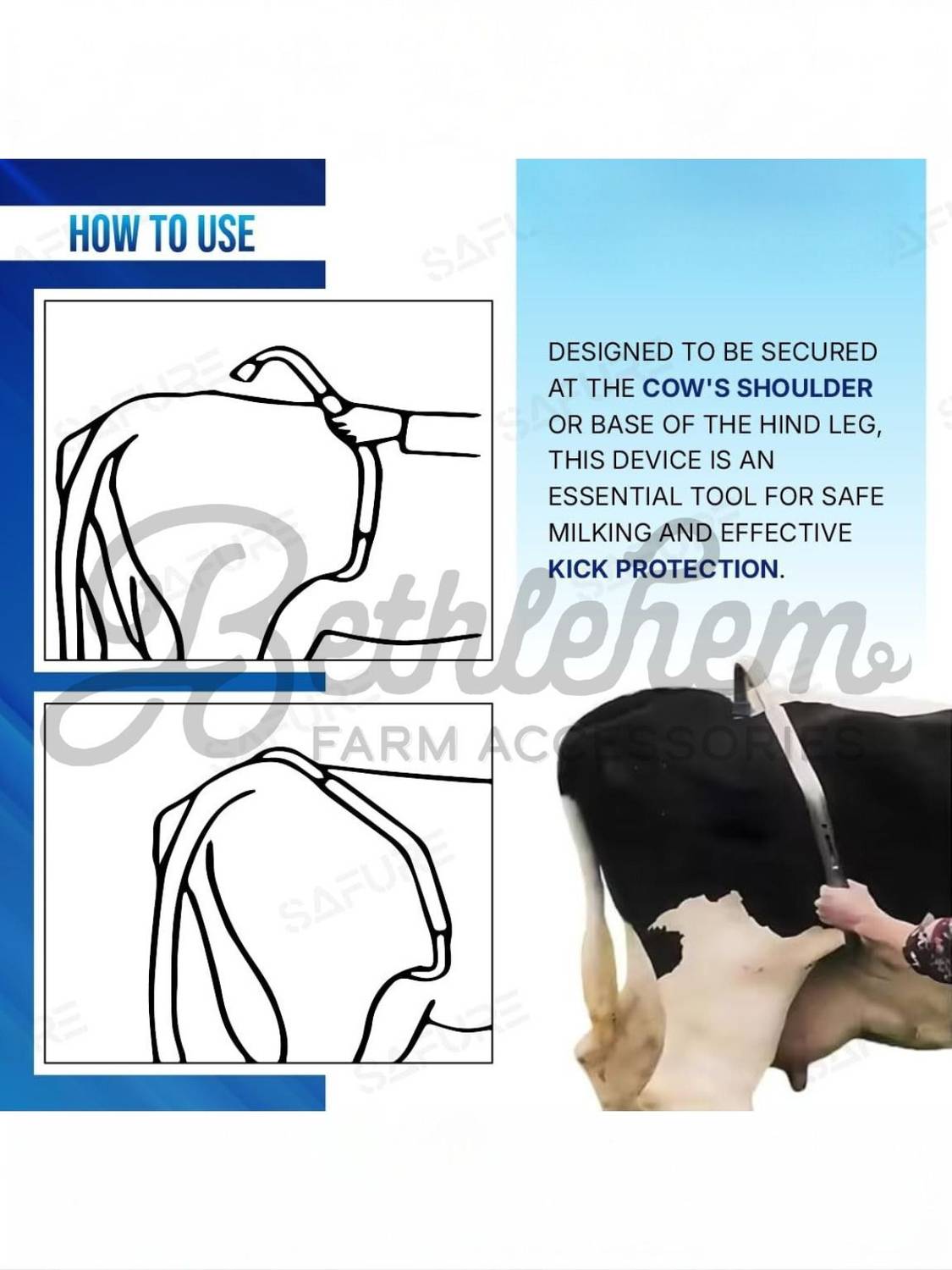 Bethlehem Horse Grooming Kit - Image 4