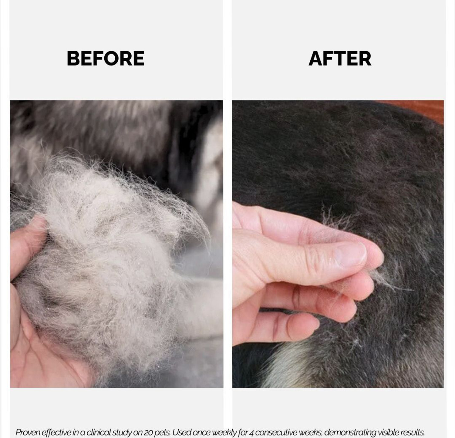 Image of Moe Puppy Keratin Plus Shampoo for Dogs & Cats | Anti-dandruff Natural Dog Shampoo